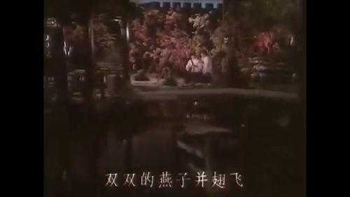 老式恐怖片国产解说视频,揭秘老式惊悚经典背后的神秘面纱