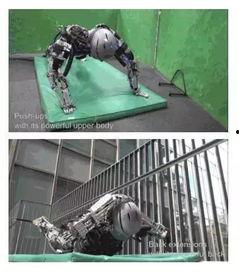 国产蝗虫仿生机器人视频,昆虫灵感下的智能创新之旅  第1张